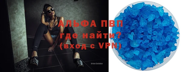 шишки Беломорск