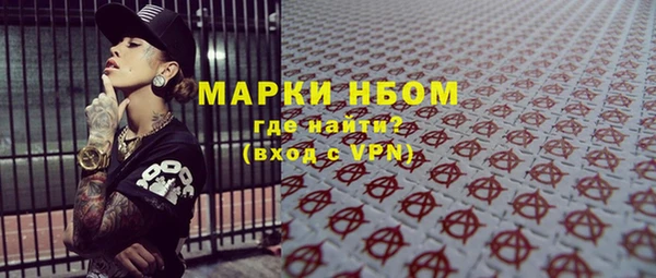 шишки Беломорск