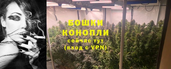шишки Беломорск