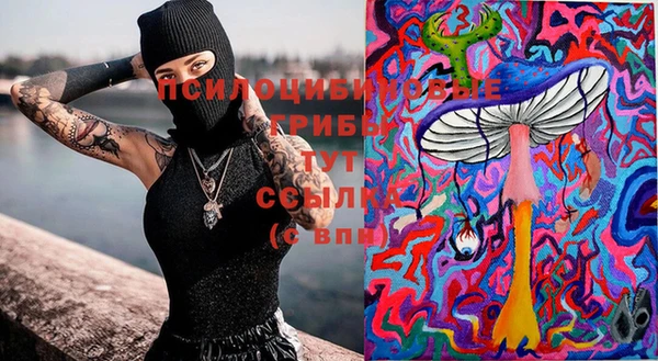меф Белокуриха