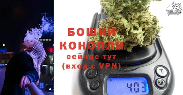 шишки Беломорск