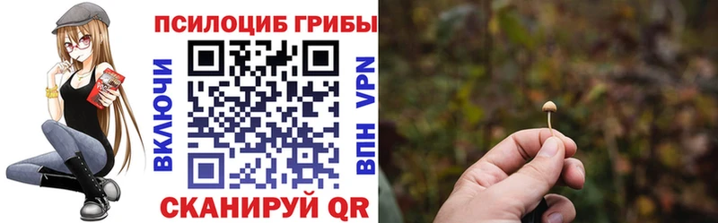 Псилоцибиновые грибы Psilocybe  гидра вход  Пионерский 