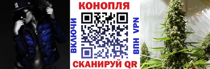 mega tor  Пионерский  Шишки марихуана планчик 